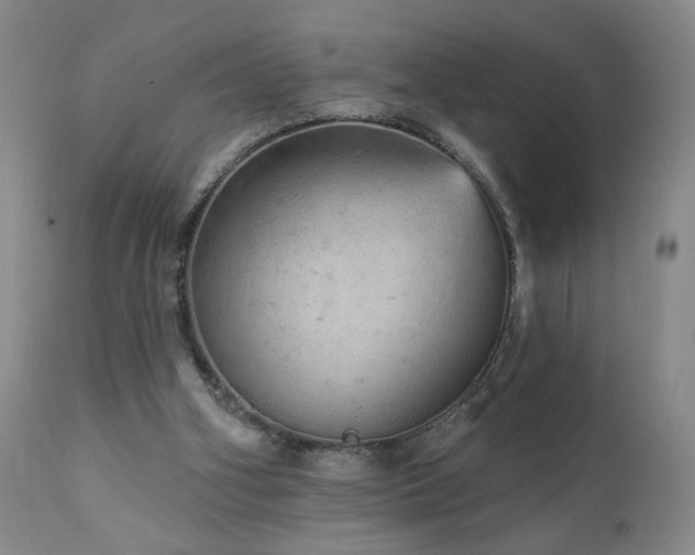 X0000111940106200907271422