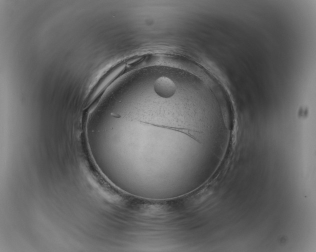 X0000111940107200907271422