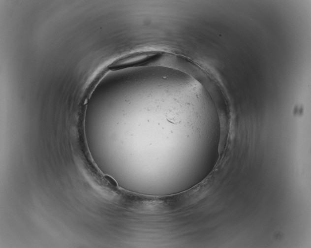 X0000111940108200907271422