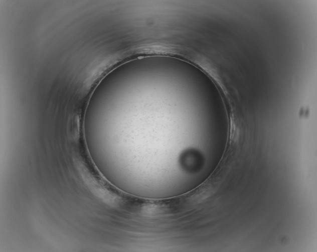 X0000111940109200907271422