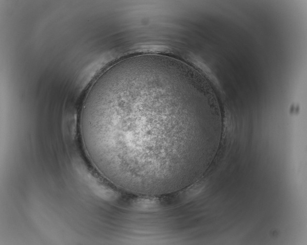 X0000111940110200907271422