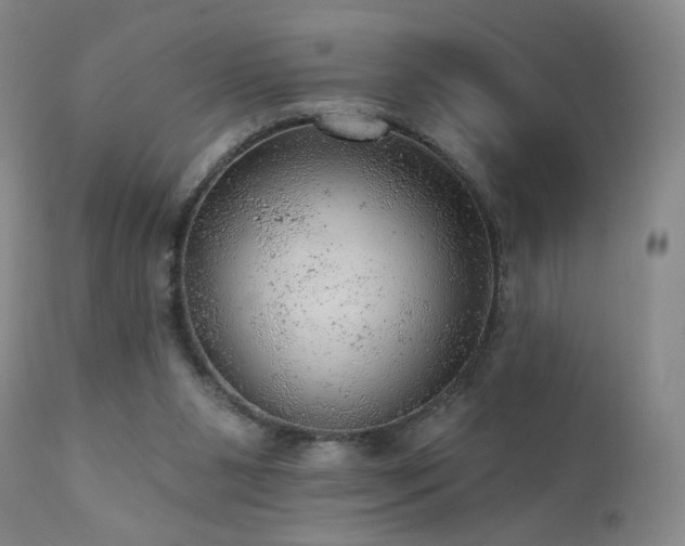 X0000111940111200907271422