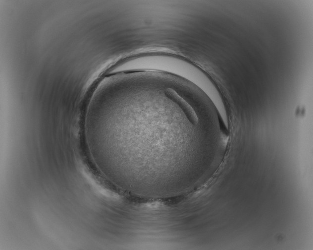 X0000111940112200907271422