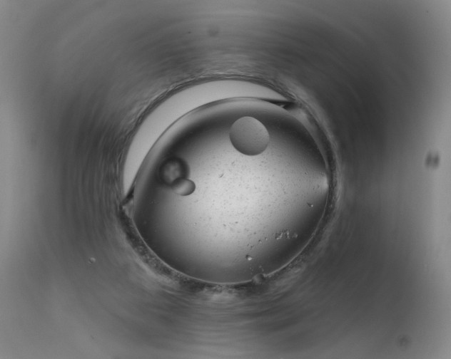 X0000111940113200907271422