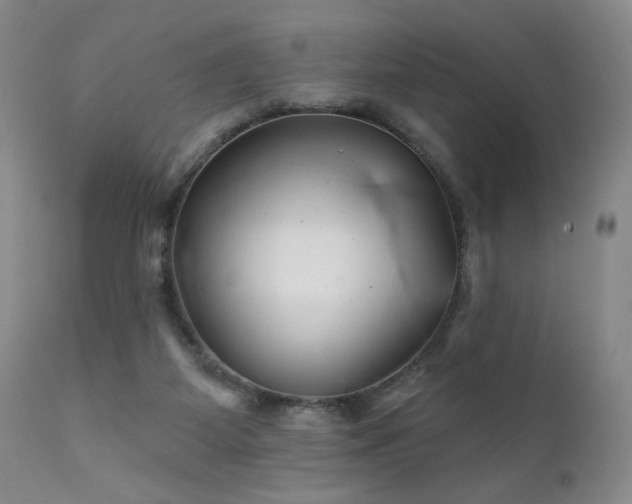 X0000111940115200907271422