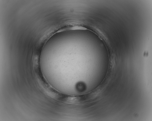 X0000111940117200907271422