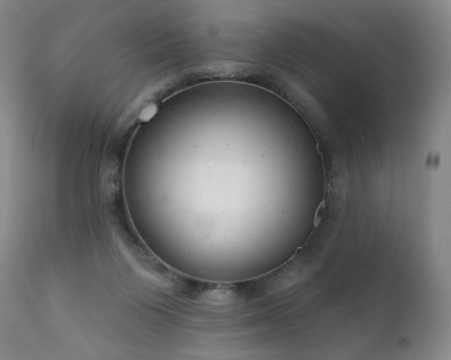 X0000111940119200907271422