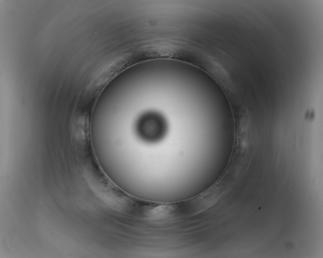 X0000111940122200907271422