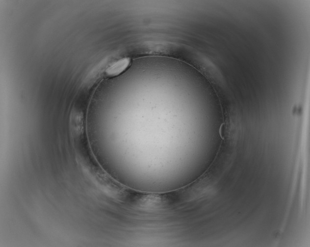 X0000111940123200907271422