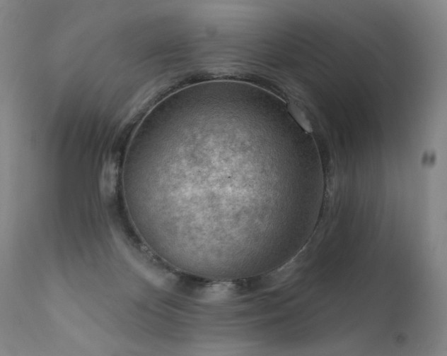 X0000111940124200907271422