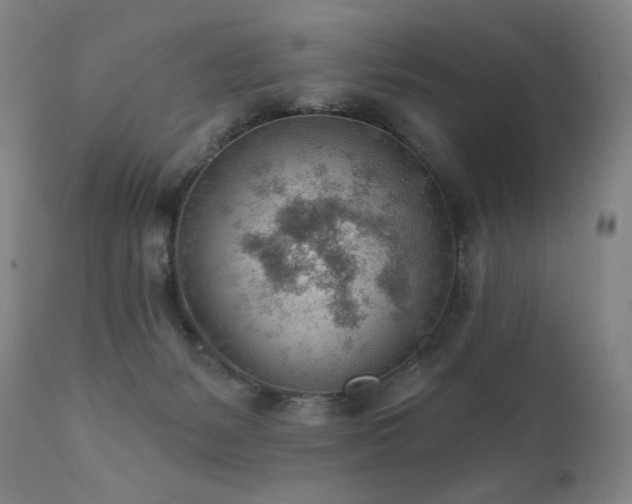 X0000111940127200907271422