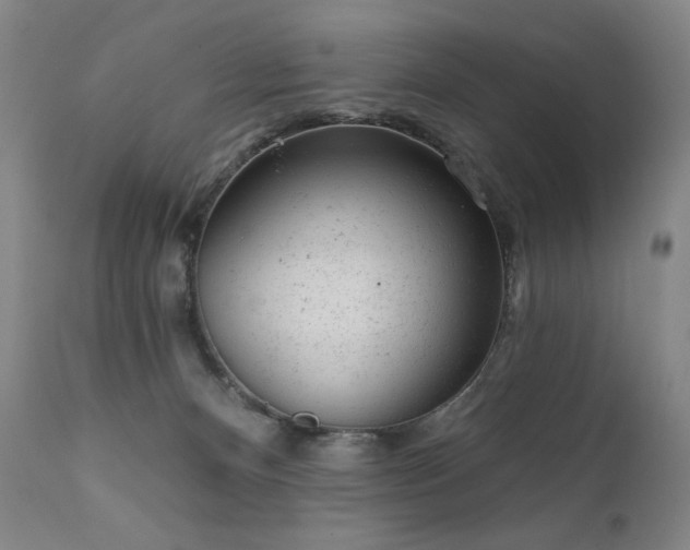 X0000111940128200907271422