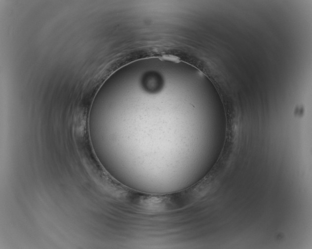 X0000111940129200907271422