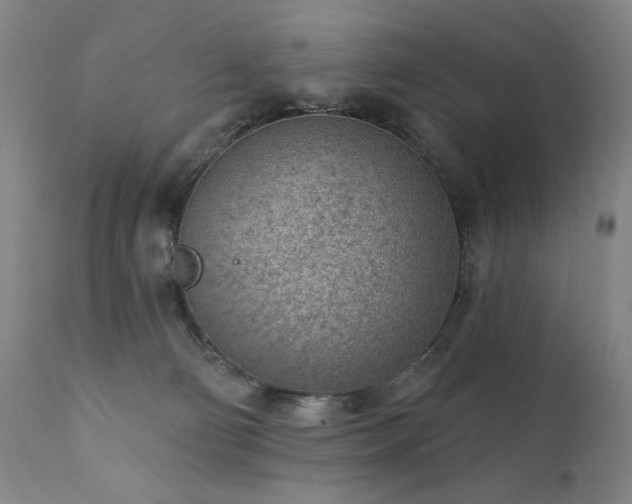 X0000111940130200907271422