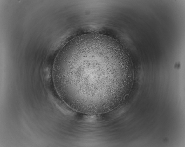 X0000111940131200907271422