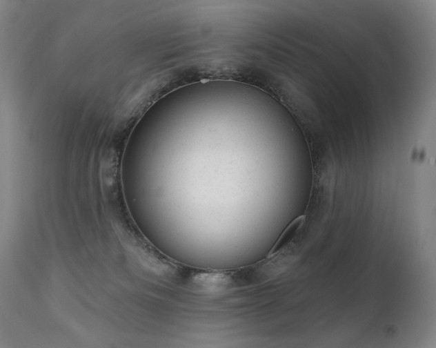 X0000111940133200907271422