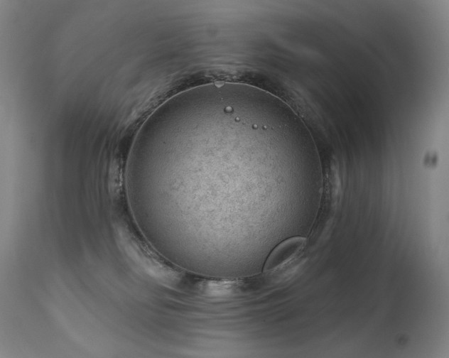 X0000111940134200907271422