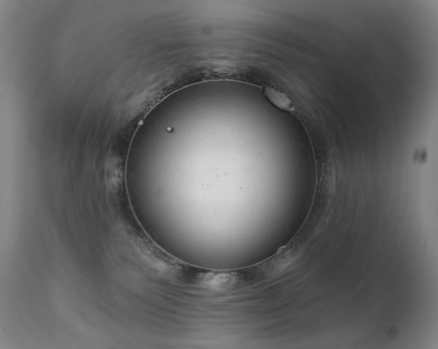 X0000111940135200907271422