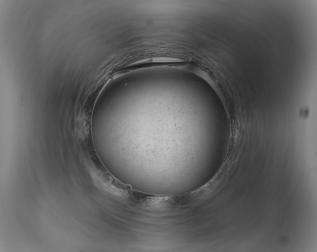 X0000111940136200907271422