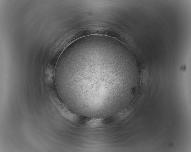 X0000111940138200907271422