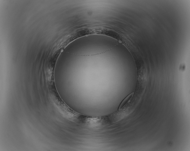 X0000111940139200907271422