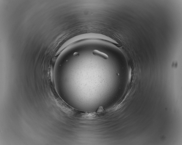 X0000111940140200907271422