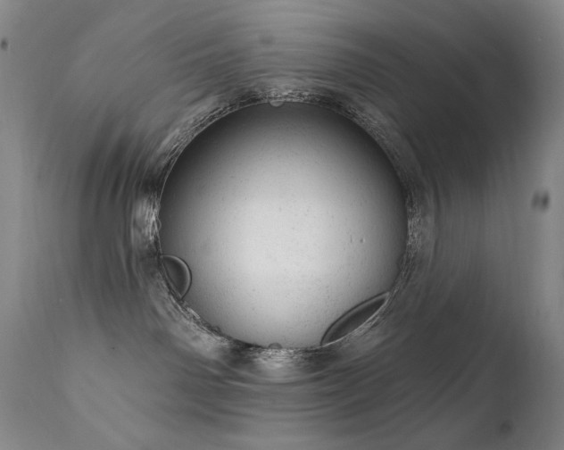 X0000111940142200907271422