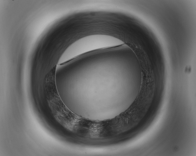 X0000111940143200907271422