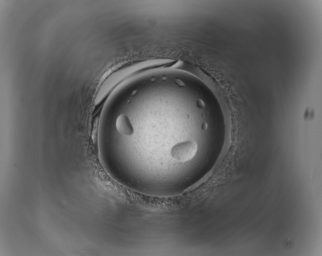 X0000111940144200907271422