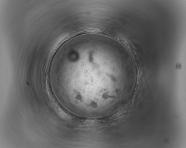 X0000111940145200907271421