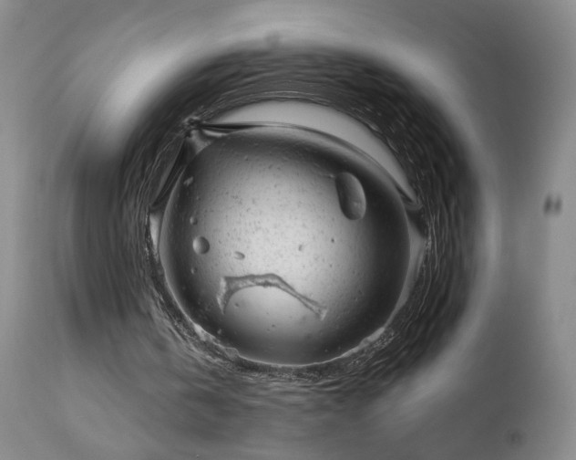 X0000111940146200907271421