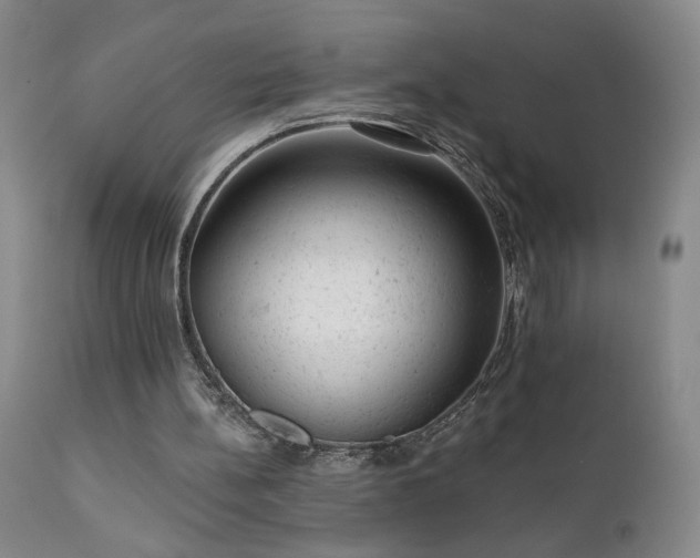 X0000111940148200907271421