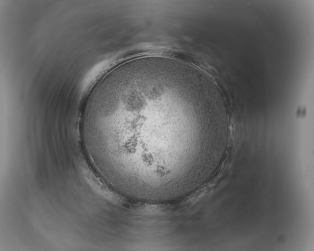 X0000111940149200907271421