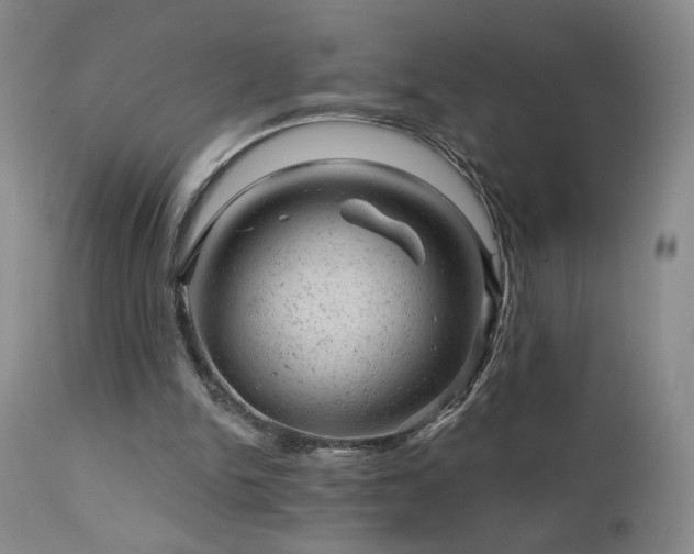 X0000111940150200907271421