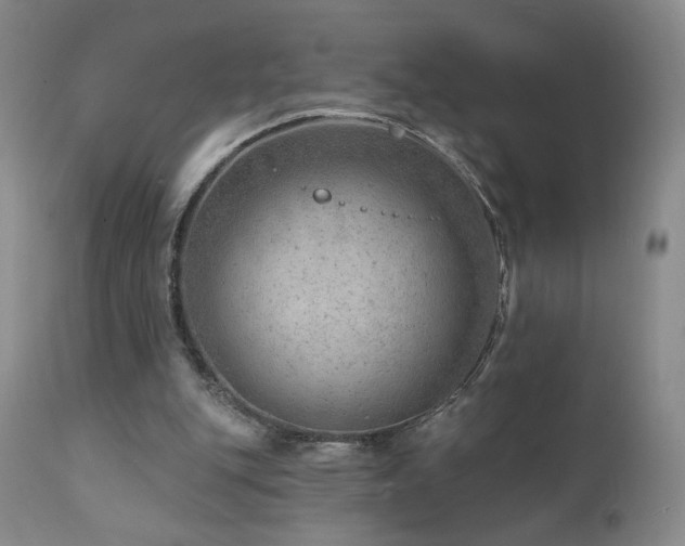 X0000111940151200907271421