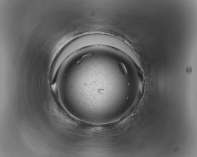 X0000111940152200907271421