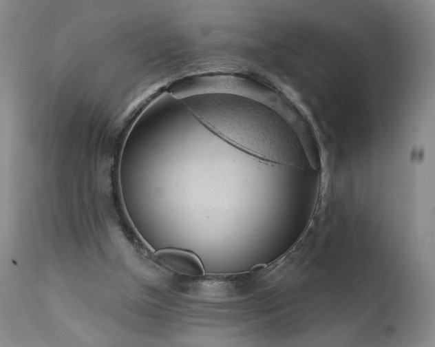 X0000111940154200907271421