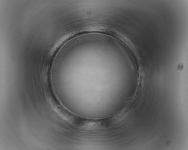 X0000111940155200907271421