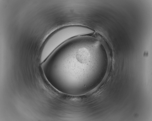 X0000111940156200907271421