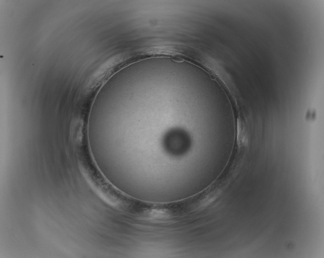 X0000111940157200907271421