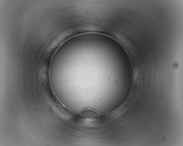 X0000111940158200907271421