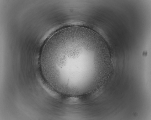 X0000111940159200907271421