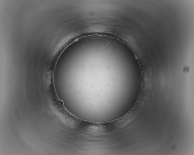 X0000111940160200907271421