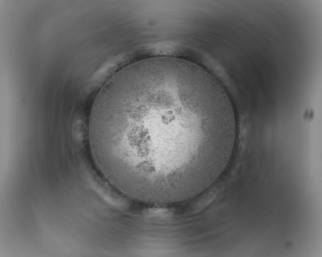 X0000111940161200907271421