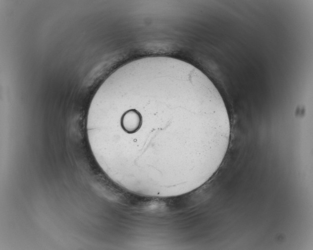 X0000111940162200907271421