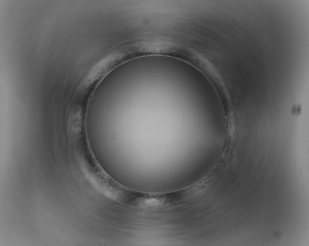 X0000111940163200907271421