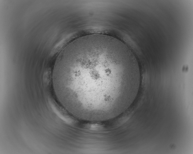 X0000111940165200907271421