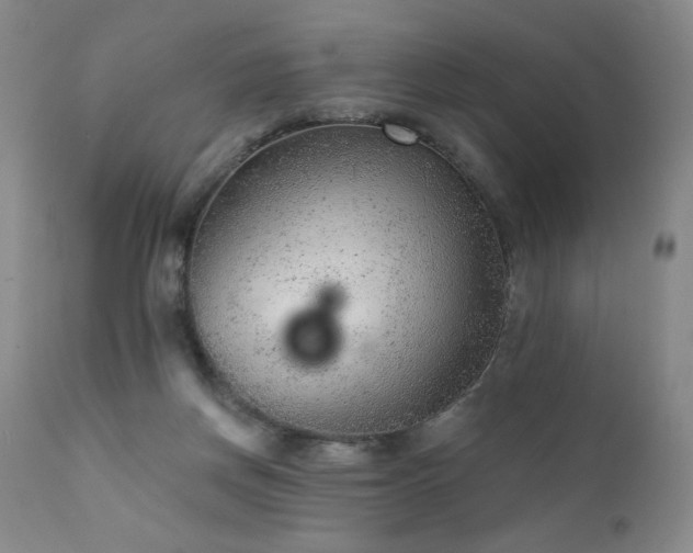 X0000111940166200907271421