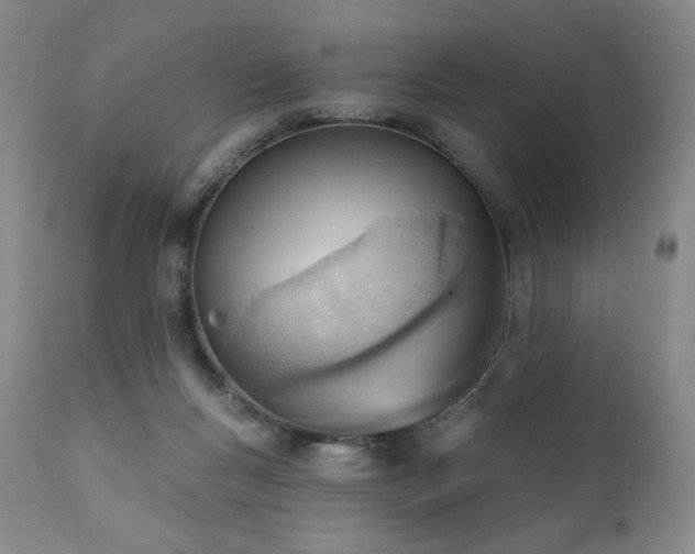 X0000111940167200907271421