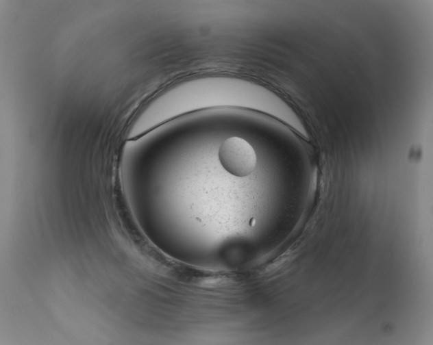 X0000111940168200907271421